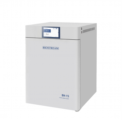 Biostream BH-15 Constant Temperature Incubator